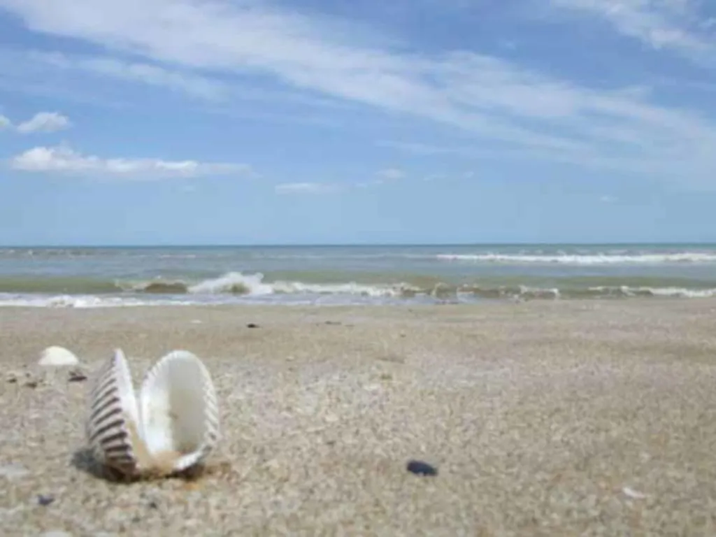 Hr Vapore Gatteo Mare Gatteo a Mare Italie